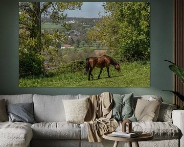 Paard in de wei op de heuvels rond Epen in Zuid-Limburg van John Kreukniet