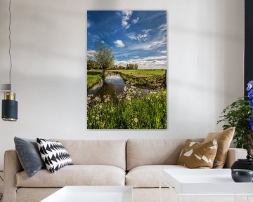Typisch Fries landschap aan de rand van het dorpje Grou sur Harrie Muis