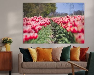 Vue à travers le champ de tulipes sur Fotografiecor .nl