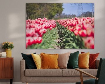 Blick durch das Tulpenfeld von Fotografiecor .nl