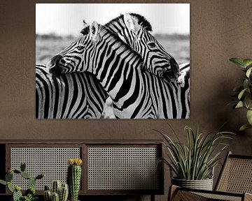 knuffelende zebra's van Jan van Reij