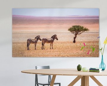 Zebras in der Kalahari von Robert Riewald