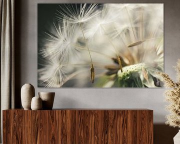 Dandelion Departure von Julia Delgado