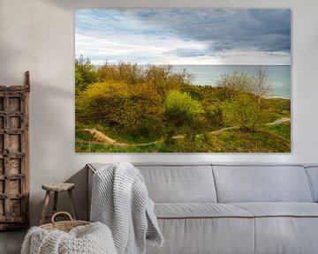 Landscape on the Baltic Sea coast by Rico Ködder