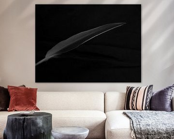 dark feather by Marieke Treffers