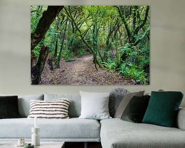 Waldweg in Abel Tasman NP von Rietje Bulthuis