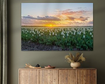 Sunset with dutch tulip fields by Wim Kanis