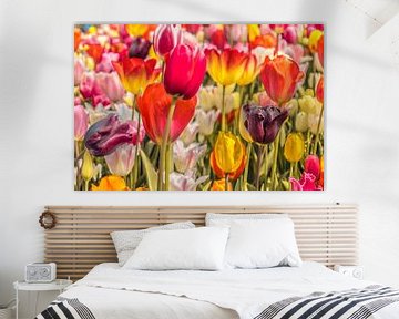 Veld tulpen vol kleur van Stedom Fotografie