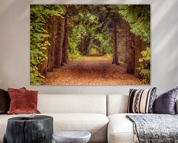 Forest Road at Castle Moyland von Tim Abeln