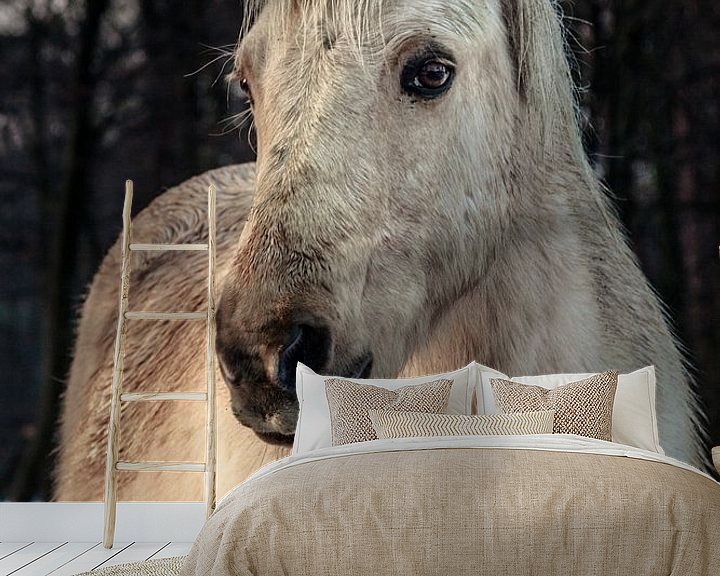 Sfeerimpressie behang: Portret van een paard van Tim Abeln