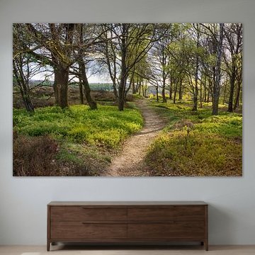  Spaziergang im Frühling