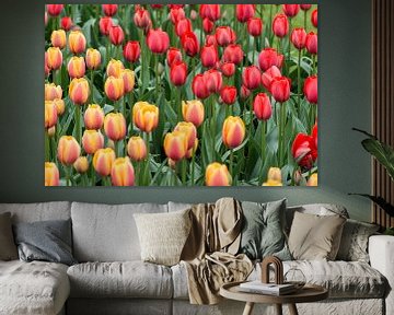 Tulpen von Ronne Vinkx