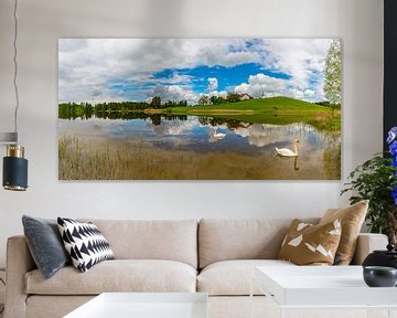 Swans, Hegratsrieder Lake van Walter G. Allgöwer