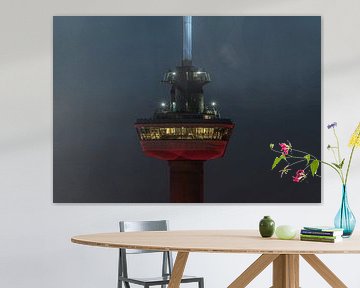 Het kraaiennest van de Euromast in Rotterdam van MS Fotografie | Marc van der Stelt