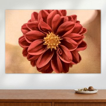 Rode dahlia von Awesome Wonder