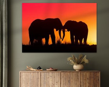 Silhouet van twee olifanten in de ondergaande zon
