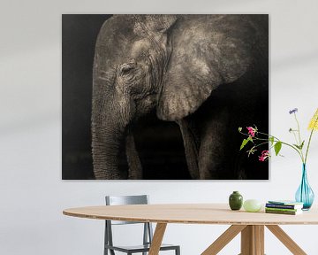 Elefant ohne Stoßzähne in schwarz-weiß von Awesome Wonder