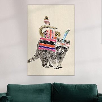 Waschbär von Green Nest