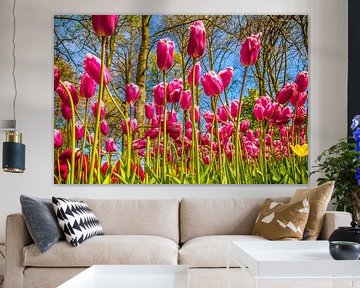 Fleurige paarse tulpen van Stedom Fotografie