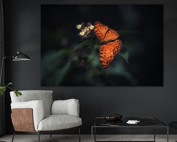 Oranje vlinder op bloem by Awesome Wonder