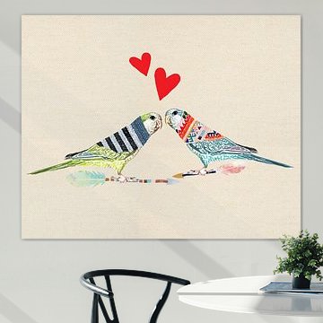 Oiseaux d'amour