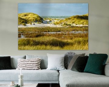 Landscape with dunes on the North Sea island Amrum