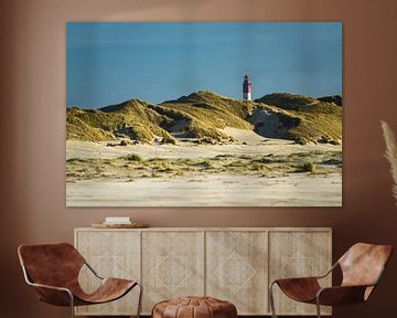 Landscape with dunes on the North Sea island Amrum