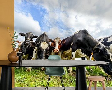 Cows in a field during a beautiful springtime day by Sjoerd van der Wal Photography