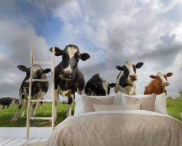 Cows in a field during a beautiful springtime day by Sjoerd van der Wal Photography