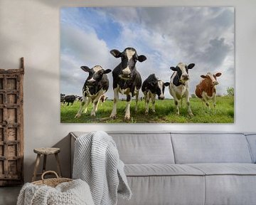 Kühe in einem Feld während eines schönen Frühjahrtages von Sjoerd van der Wal Fotografie