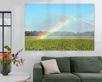 Regenboog door irrigatie veroorzaakt