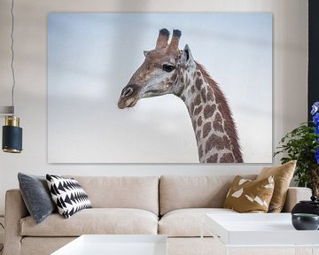 Giraffe close-up van Jack Koning