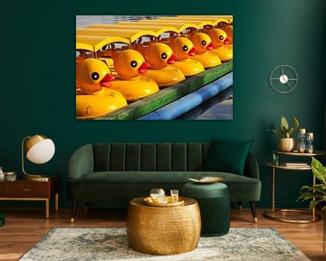 Boat ducks by Rogier Vermeulen