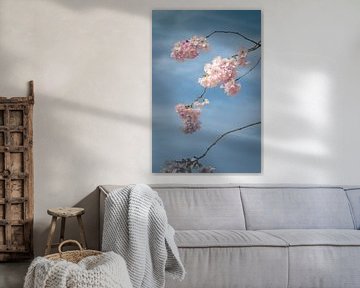 Wallpaper blossoms