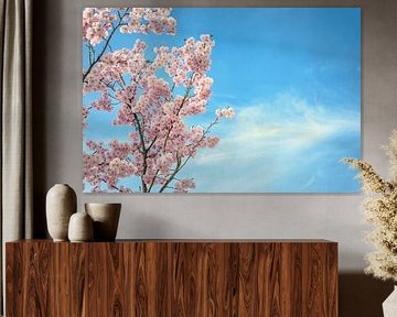 Blue and blossoms