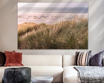 Dunes and sea (Terschelling) von Alessia Peviani