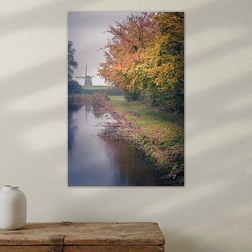 Colors in the mist (Bleiswijk)