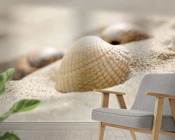 Shell in the sand by LHJB Photography