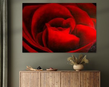 Red roses - Rode rozen van Christoph Van Daele