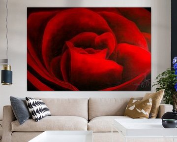 Roses rouges sur Christoph Van Daele