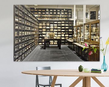 Bibliothek