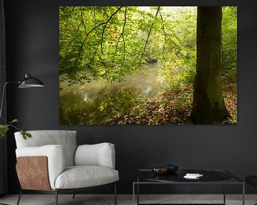 Het herfstige blad van een beukenboom weerspiegeld in het water van de Kromme Rijn