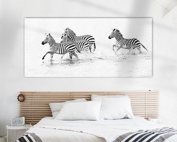 Zebra's rennend door water van Anja Brouwer Fotografie
