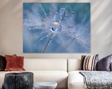 Fresh Blue (Druppel op Pluisje in blauw) van Caroline Lichthart