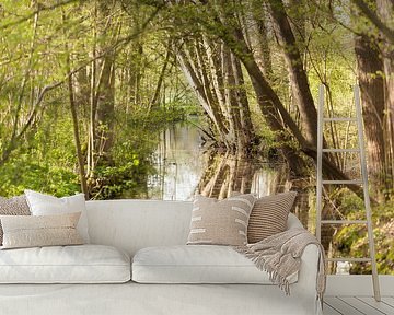 Voorjaar in Amelisweerd