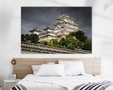 Himeji Castle, Japan van Marcel Alsemgeest