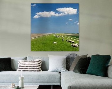 Schafe auf dem Waddendyke ein holländischer Himmel von Dirk-Jan Steehouwer