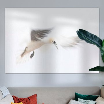 Jan van Gent in de vlugt