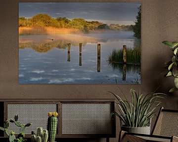 Mistige zonsopkomst in de duinen van Dirk-Jan Steehouwer