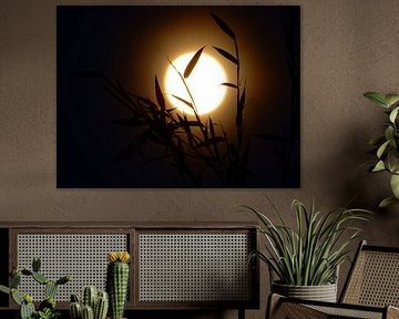Pleine lune